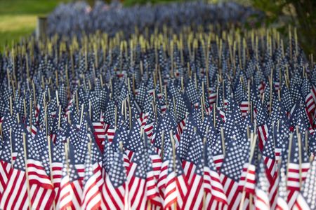 US records its highest daily Covid-19 death toll: 4,327