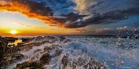 {Shower time- trying to spot the sardines]. Photographer: [Steve Burns].