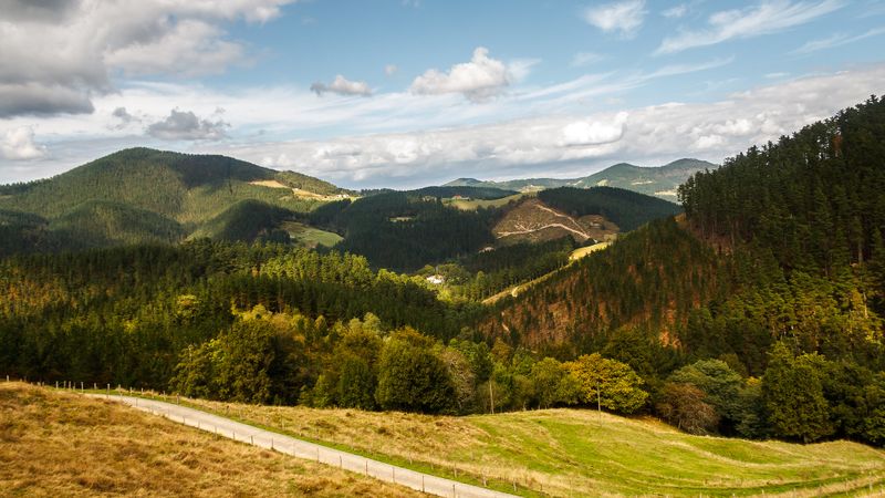 59 days hiking the Camino de Santiago