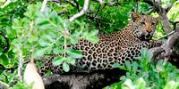 Biodiversity-Bool