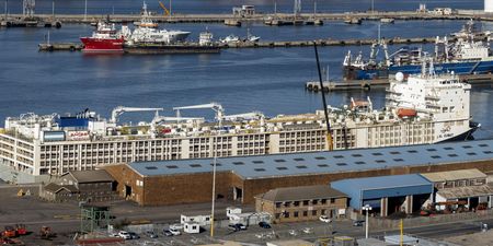 ‘Abhorrent scenes’ aboard livestock carrier in Cape Town spark call for legislative reform
