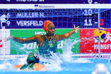 Swimming South Africa may have sunk its legal case against South Africa Water Polo