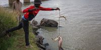 Daily catches and hard-won livelihoods of subsistence fishermen at Bloemhof Dam