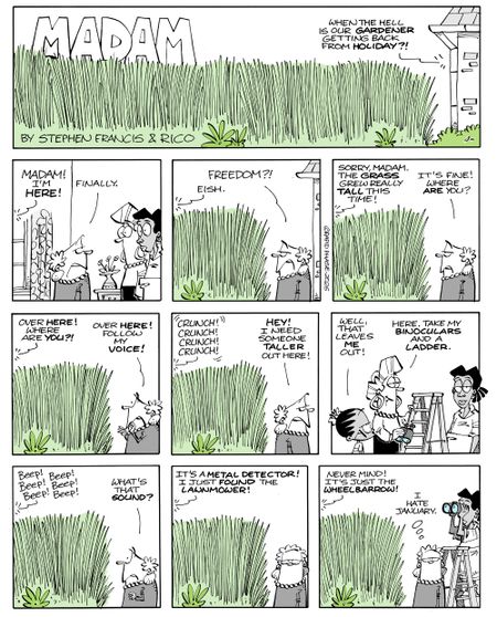 It's a jungle out there