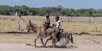 Children ride two donkeys. Image: Supplied