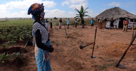 The world needs international cooperation to avert a catastrophic food crisis