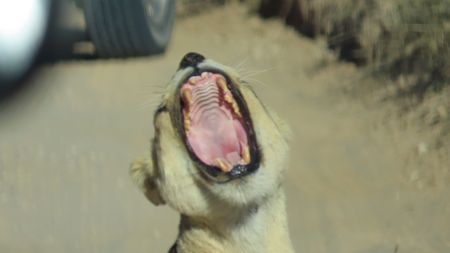 I have a picture for you! 1 June-7 June 2025