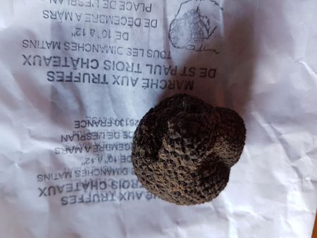 Truffle Trouble: Black Diamonds in a winter of discontent