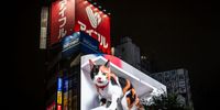 TOKYO, JAPAN - JULY 09: A giant digital screen shows a 3D cat in Shinjuku area on July 09, 2021 in Tokyo, Japan. A 4K display in Tokyo’s Shinjuku district has become home to a giant digital 3D cat, drawing spectators to the 8-by-19-metre LED billboard and sparking joy on social media. (Photo by Yuichi Yamazaki/Getty Images)