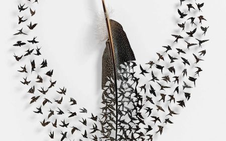Arrive at your own door: on feathered things and finally meeting the self