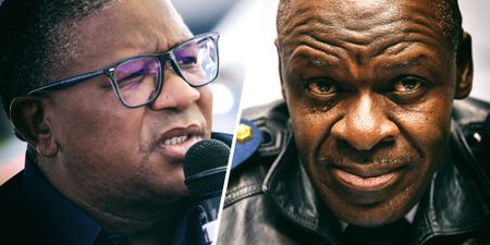 R45m ‘Nasrec grabber’ was Fikile Mbalula’s idea, claims National Police Commissioner Khehla Sitole in court papers
