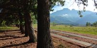 Mountains move me. Cathkin Peak, Drakensberg.