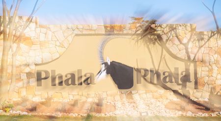 Hawks secure nearly 70 statements on Ramaphosa farm theft