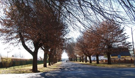 Steady decline: eMakhazeni’s municipal disaster