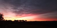 Sunset at Settlers Park. Photographer: George Maree