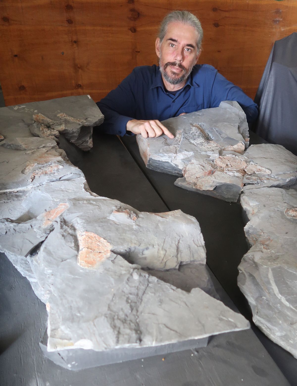 Fossilised bones of prehistoric 3-metre fish discovered in Eastern Cape