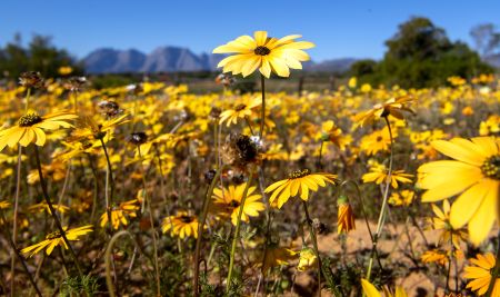 Hunger, thirst and the climate crisis have not been under lockdown