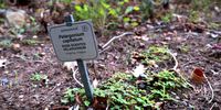 Don-Kirstenbosch 1