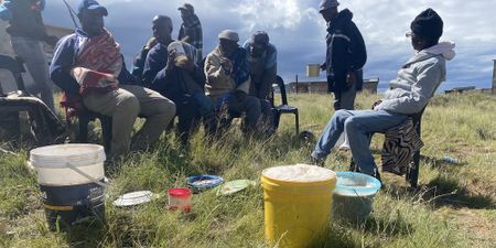 Study demonstrates green spaces are good for wellbeing, yet many in SA cannot access them