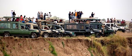 Selfie safari crisis as social media drives dangerous, unethical wildlife tourism
