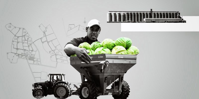 How skill-sharing and market insights can unlock small-scale regenerative agriculture