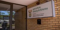 The Department of Agriculture, Forestry and Fisheries is unable to perform many of its most basic tasks, including allocating fishing rights and enforcing regulations, because of the rot and factional war at the top. Photo: Ashraf Hendricks/GroundUp