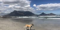 Morning walk.