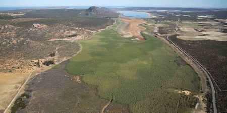 West Coast’s Verlorenvlei: What’s lost when a wetland dries up?