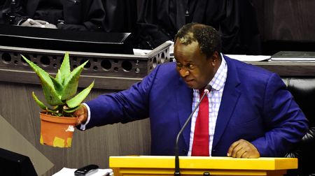 A Budget lesson from fertilising plants