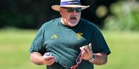 Tuks coach Rocco Meiring. (Photo: Gallo Images)