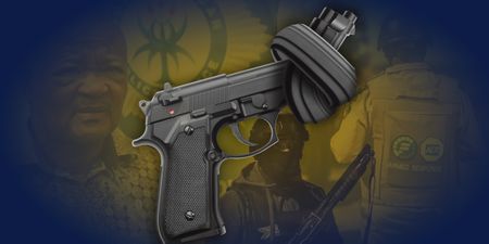 Alarm and applause after Police Minister Mchunu takes aim at private security guns