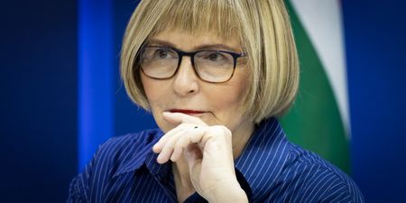 Victory for DA in case against IEC for additional voting stations abroad