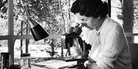 Rachel Carson 