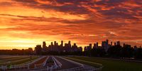 Flemington Gallops