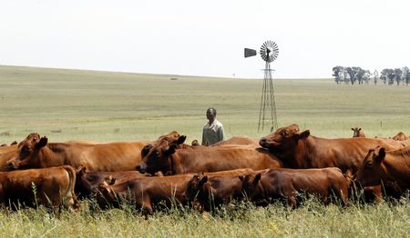 Who speaks for the unemployed?