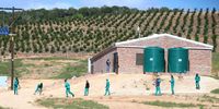 service delivery