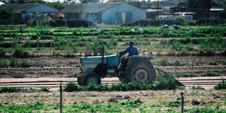 Ramaphosa’s vision of a ‘new economy’ must embrace both the climate crisis and small local producers