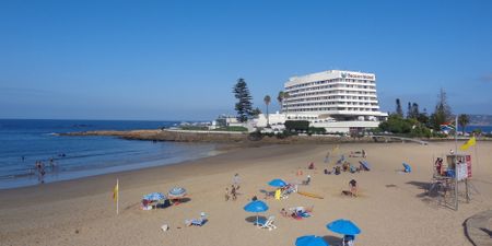 DA heads to court over Garden Route and Eastern Cape festive season beach closures