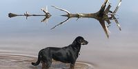 As above, so below. Lila Dolittle in the Theewaterskloof dam. Photographer: Leonhard Praeg <br>