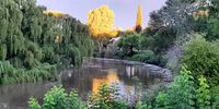 This wonderful sight was seen at sunset on a walk along the Vaal on Christmas Day. Image: Dr Ben Skudowitz