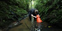 SA heads to COP17 with a practical plan to halt biodiversity loss