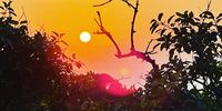 Good Morning. Image: Ian Fraser