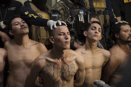 While you were sleeping: 20th January 2017