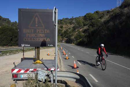 Malaysia bans most pork imports from Spain due to swine fever outbreak
