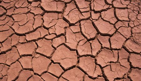 Op-Ed: Will replacing white farm owners with black farm owners address inequalities?