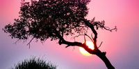 Sunset Koakoveld. Photographer: Frans Meyer 