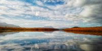 A welcome watery weekend. Kleinmond, Western Cape. Image: Joe Grant