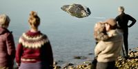 A dead humpback whale is seen at Foelle Strand in Loegten Bay, Djursland, Denmark, 02 April 2025.  EPA-EFE/MIKKEL BERG PEDERSEN  DENMARK OUT