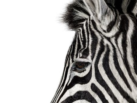 Investec