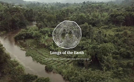 Deforestation in the Congo: Squeezing the air out of the lungs of the earth